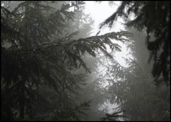 10-Hours-of-Rain-Sound-Relaxation